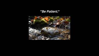 "Be Patient. 인내하세요!" #인내 #먹방 #인생