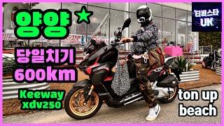 xdv250 | 엑드방 | 250cc 스쿠터 추천 | 스쿠터 | 당일치기 600km | 양양 톤업비치 | 양양 여행 | 햄버거 맛집 | 스쿠터 여행 | 바이크 여행 | 한국모터스