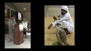 Haynes Werner on Falconry   Spring Island Trust Talk   July 21, 2016