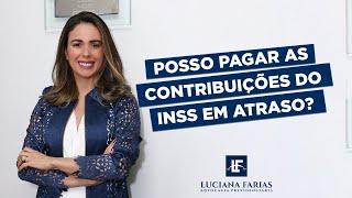 Posso pagar as contribuições do INSS em atraso? - Dra. Luciana Farias