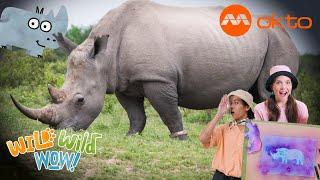 Exploring RHINO Facts and ADVENTURES  | Wild Wild Wow S1E06B | @mediacorpokto