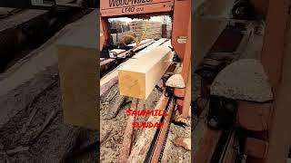 Sawmill Sunday!!!!  Red Pine 1x8. #Shorts