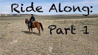 Cavalry Ride Along- Part 1: Skills