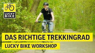 Einfach das richtige Trekkingrad | Natürlich bei Lucky Bike