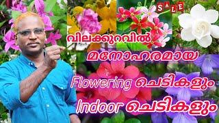 വിലക്കുറവിൽ മനോഹരമായ പൂച്ചെടികളും indoor ചെടികളും വേണോ??ഇവിടെ ഉണ്ടേ..Latest Flowering Indoor Plants