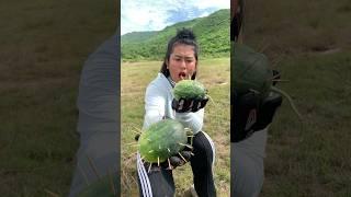 Survival Skills: SMART idea And USEFUL #ideas #bushcraft #outdoors #camping