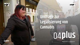 Umfrage zur Cannabis-Legalisierung