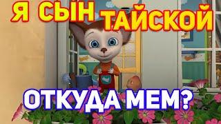 Я Сын Тайской. Я Внебрачный Сын тайской.. Откуда МеМ?