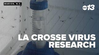 Child recovers from La Crosse virus, family joins research effort