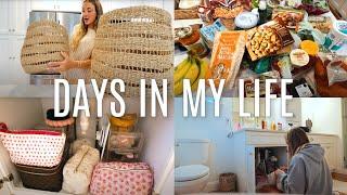 VLOG: trader joes fall haul, new home decor, cleaning, etc.