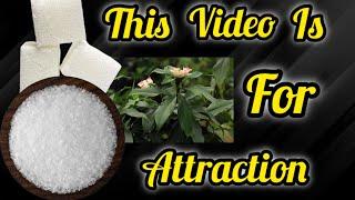 THIS VIDEO IS FOR ATTRACTION.    #spiritual #spiritualilty