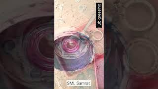 SML Hub greesing Brake shoe replacement