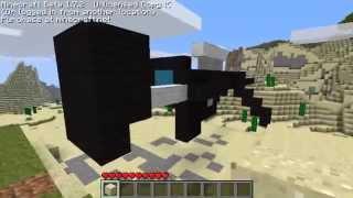 René | Minecraft Intervention