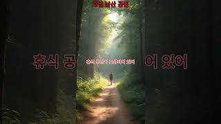 고성 88계단이있는 공원......#AI영상#풍경#AI#여행가볼만한곳#바다#AI쇼츠#해변#차박#원차박#가을여행#산#고성남산공원