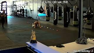 Guy finishes his boxing session with bear crawls right into a shelf!