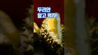 악취 때문에 버렸던 두리안, 알고보니 효능이 바나나의 3배? #건강정보 #심혈관질환 #항산화 #durian