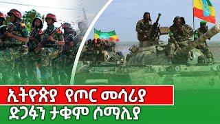 ኢትዮጵያ የጦር መሳርያ ድጋፉን ተቃውሞ ሶማሊያ ETHIOPIA / ETHIOPIAN NEWS kings of Abbay