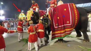 Angry Elephants Created Panic Among Devotees At Tirumala Mada Streets