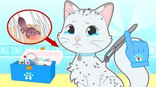 BABY PETS  🪳 La gata Kira tiene Piojos