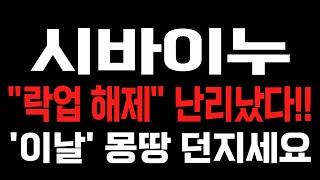 [시바이누] 락업 해제!! "최종 발표" 터지고 '이날' 몽땅 던지셔야 합니다!! #시바이누 #시바이누전망 #시바이누목표가 #시바이누분석 #시바이누대응 #시바이누호재