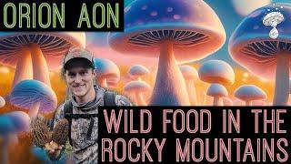 Forage Colorado - Finding Wild Food & Connection in the Rocky Mountains | Orion Aon