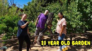 High Desert Garden| How to grow fruit trees, vegetables & much more! Native Plants & Trees