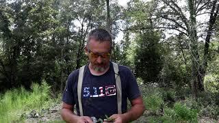 ROADSIDE GOLD TO TREETOP RESTORATION