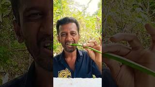 Funny Moments 