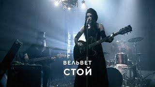 Вельвет - Стой!