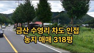 대전 차로 20분거리  복수면 2차선 포장로 인근의 농지매매 318평