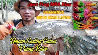 Casting gabus Pakai Umpan Rekomendasi Om BOLLON 3S, Jaws MRA Riau hasilnya Luar Biasa