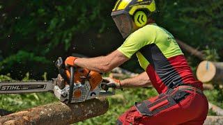 FORST TECHNIK MAIER/ Holz fliegen