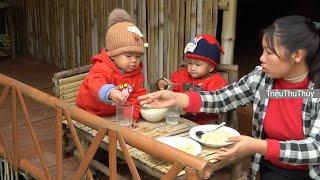 Single mother family welcomes newborn piglets, Dau and Dung harvest kohlrabi with their mother