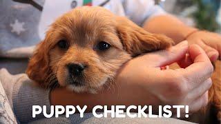 EVERYTHING I BOUGHT FOR MY 8 WEEK CAVAPOO PUPPY | How to Get Ready For Your New Puppy