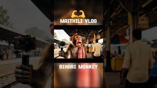 Maithili Vlog #maithili #vlog #bihar