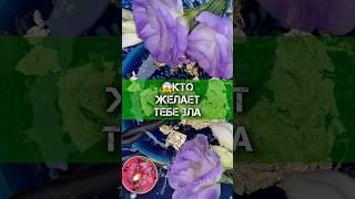 Ты думаешь, это просто усталостьЭто зависть в твоём поле️Гадание на воске
