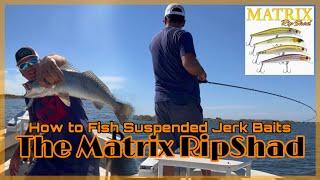 DockSide TV 'How to Fish Suspended Jerk Baits, The Matrix RipShad'