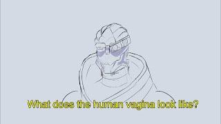 Garrus Has Questions - Mass Effect Animatic