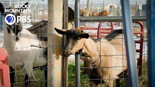 Bone dry: Farming in an extreme drought