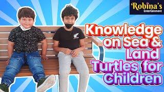 Knowledge on Sea and Land Difference Turtles animals for children