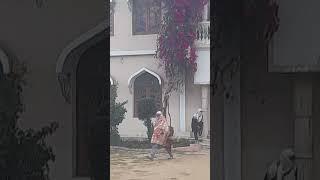 Madrasa Sheikh Zakariya