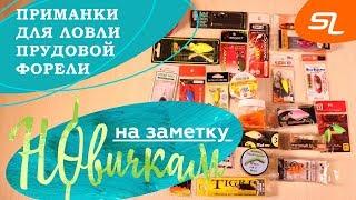 Приманки для ловли прудовой форели