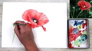 Simple Poppy Flower Painting Watercolour Tutorial