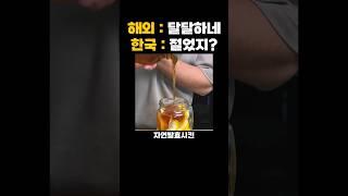 세계인들 입맛 저격 진짜 쩔어버린 우리나라 전통 꿀맛 디저트 먹거리 끝판왕 레전드
