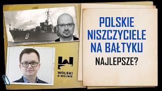 POLSKIE NISZCZYCIELE NA BAŁTYKU -  NAJLEPSZE?  Rozmowa z dr Andrzejem Bartelskim.