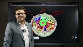 IGCSE Biology Lesson 1 Free session | الحصه المجانيه