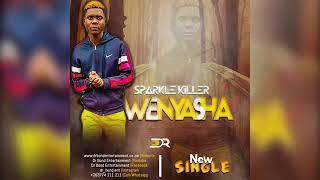 Sparkle killer(wenyasha audio) #talent search