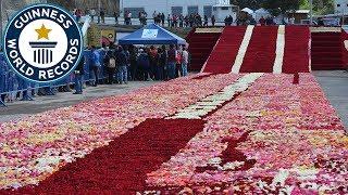 Largest flower arrangement - Guinness World Records