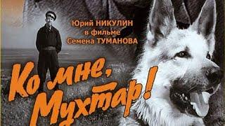 КО МНЕ, МУХТАР! (1964)   Подписывайтесь  ставьте лайки !  Детектив   Лучшие Фильмы в Плейлистах