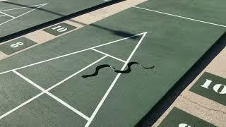 THE VILLAGES - Snake Invades Shuffleboard Game